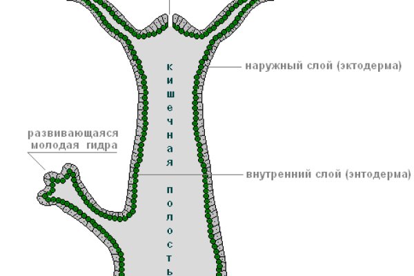 Кракен 16 даркнет продаж