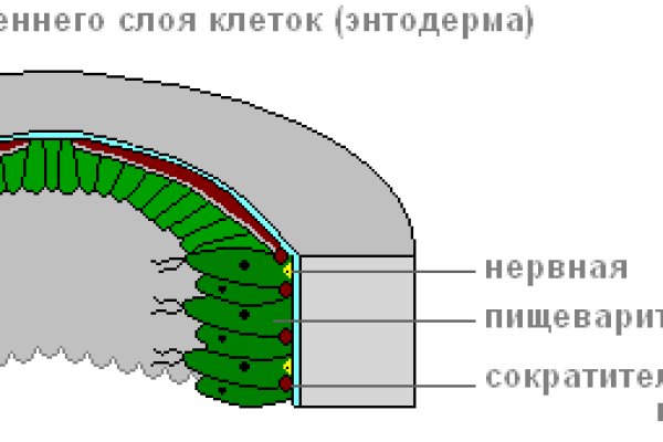 Кракен рабочая ссылка на сайт